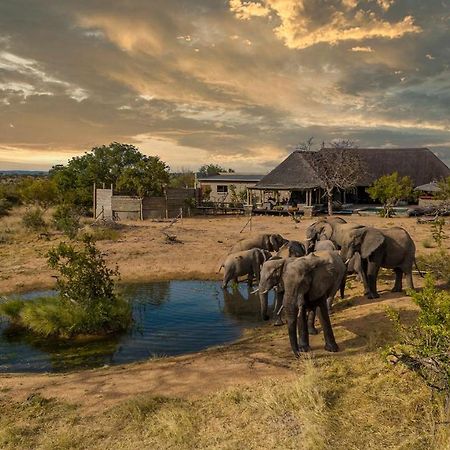 Imagine Africa Luxury Tented Camp Khu bảo tồn Khu bảo tồn Balule Game Reserve Ngoại thất bức ảnh