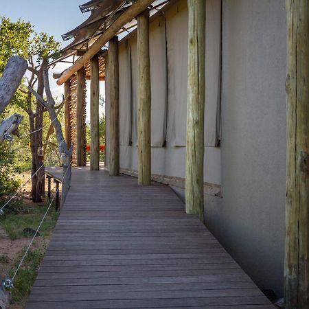 Imagine Africa Luxury Tented Camp Khu bảo tồn Khu bảo tồn Balule Game Reserve Ngoại thất bức ảnh
