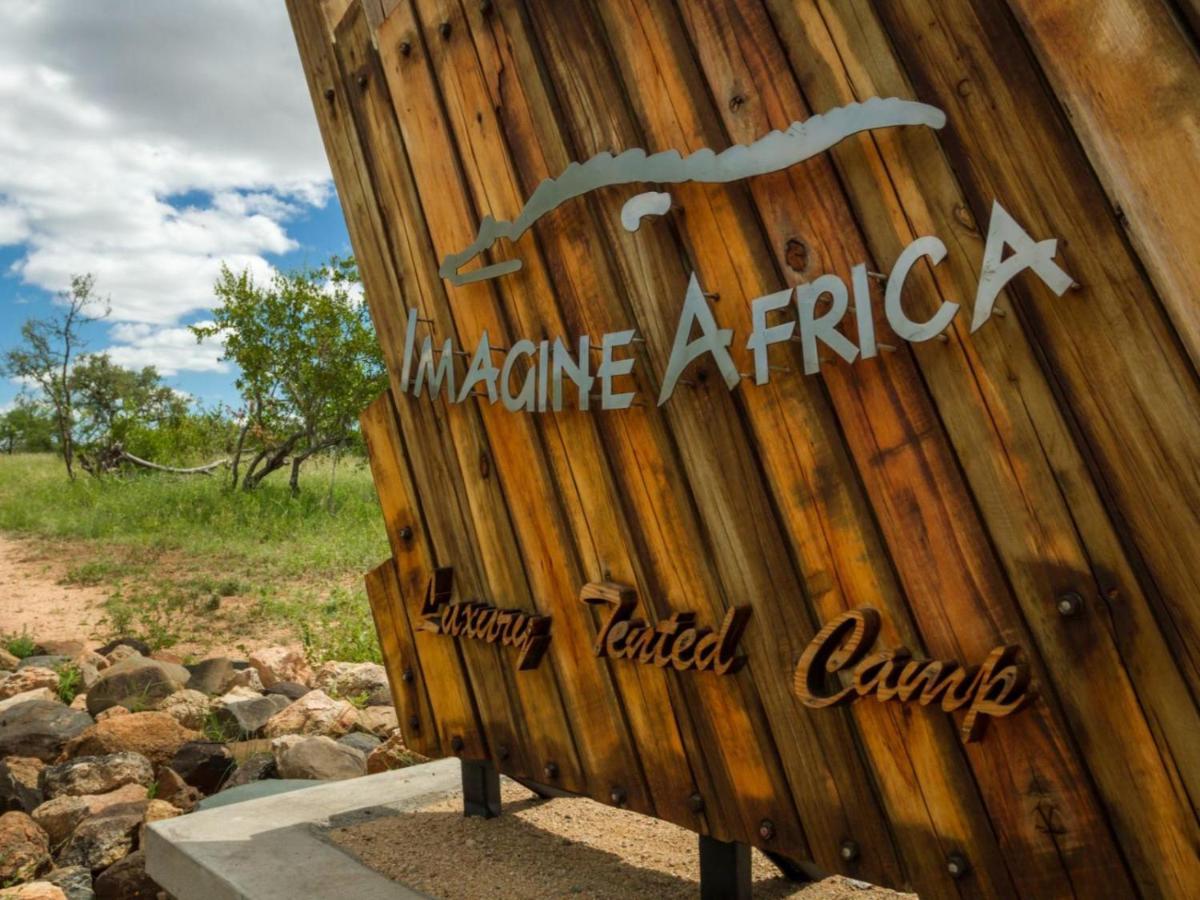 Imagine Africa Luxury Tented Camp Khu bảo tồn Khu bảo tồn Balule Game Reserve Ngoại thất bức ảnh
