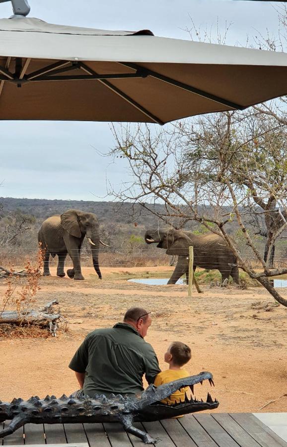 Imagine Africa Luxury Tented Camp Khu bảo tồn Khu bảo tồn Balule Game Reserve Ngoại thất bức ảnh