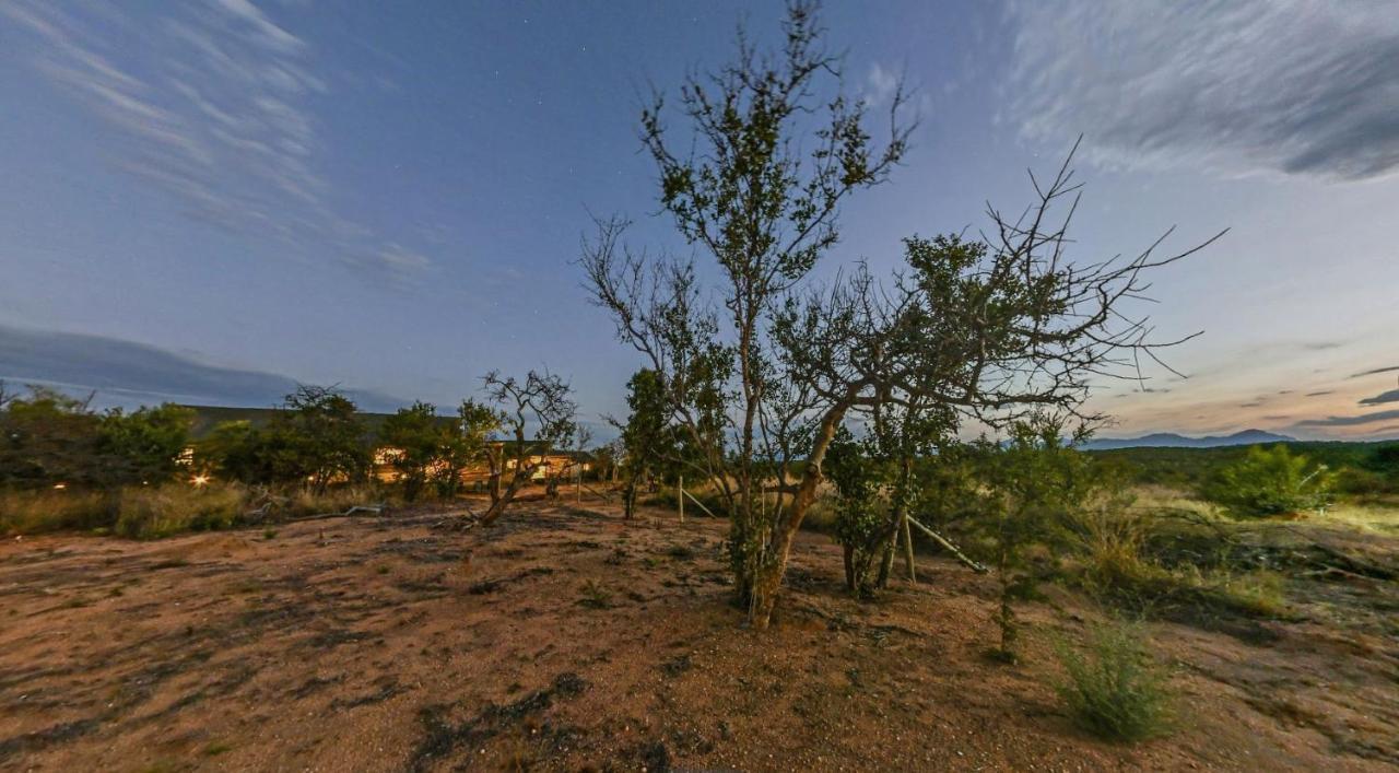 Imagine Africa Luxury Tented Camp Khu bảo tồn Khu bảo tồn Balule Game Reserve Ngoại thất bức ảnh