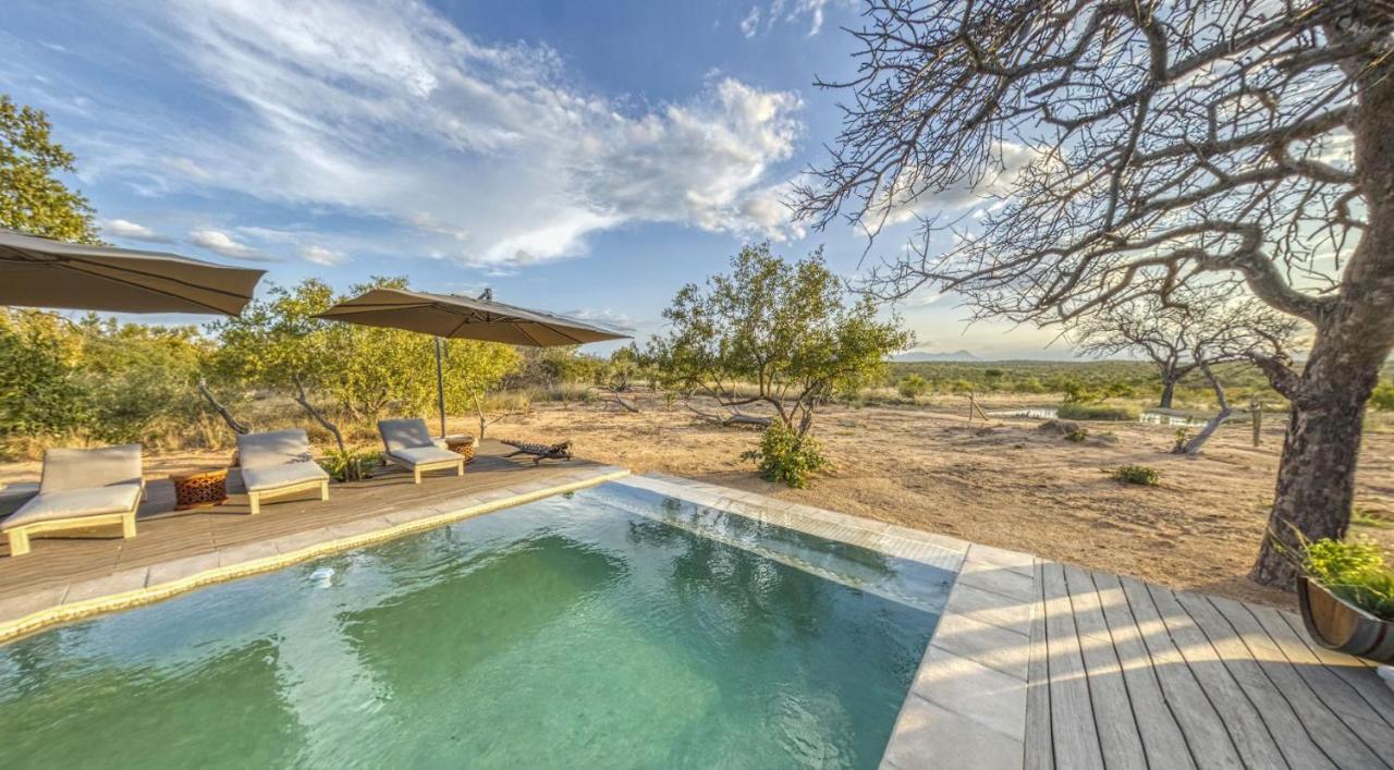Imagine Africa Luxury Tented Camp Khu bảo tồn Khu bảo tồn Balule Game Reserve Ngoại thất bức ảnh