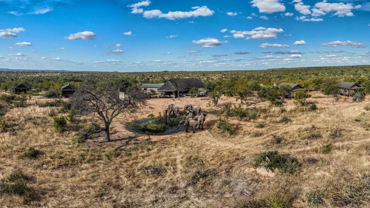 Imagine Africa Luxury Tented Camp Khu bảo tồn Khu bảo tồn Balule Game Reserve Ngoại thất bức ảnh