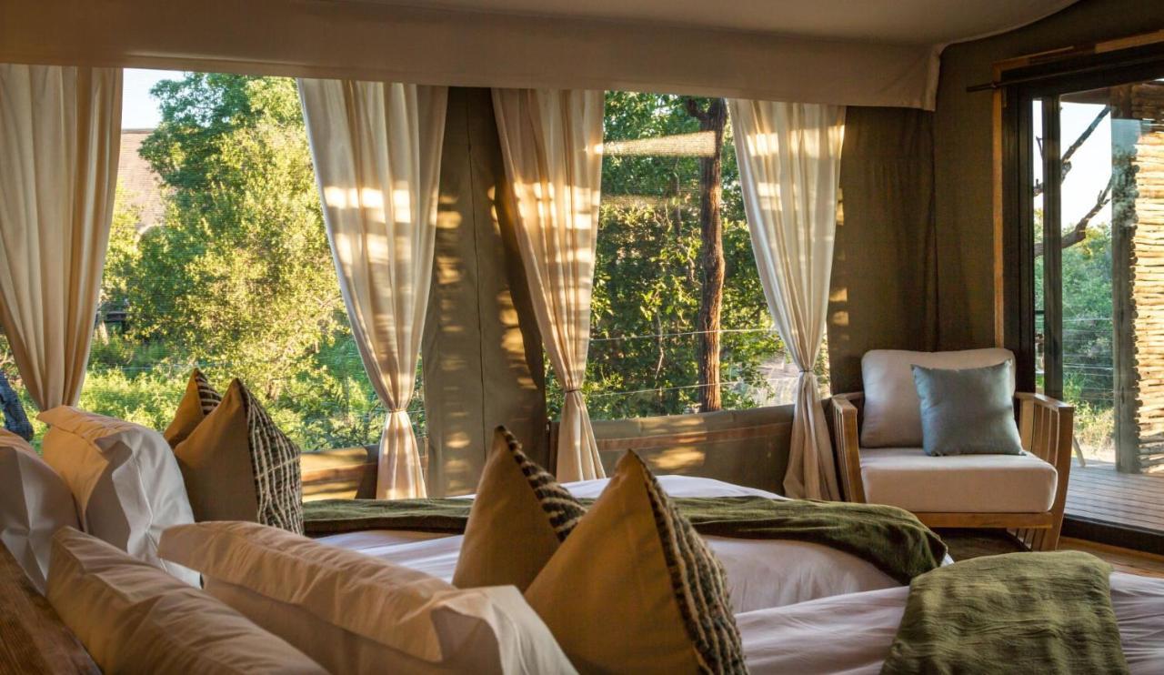 Imagine Africa Luxury Tented Camp Khu bảo tồn Khu bảo tồn Balule Game Reserve Ngoại thất bức ảnh